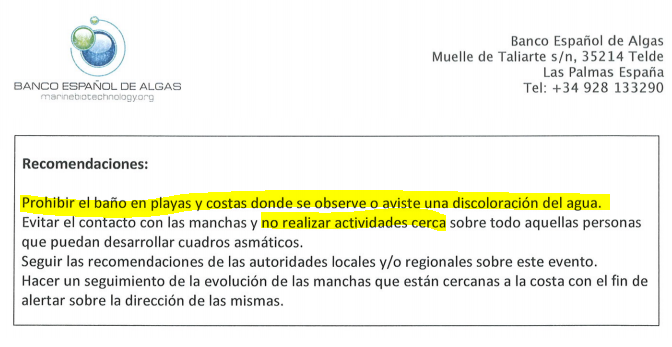 informe algas 3