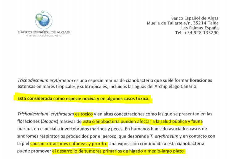 informe algas 2