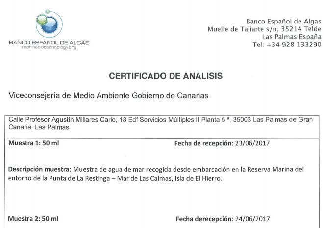 informe algas 1