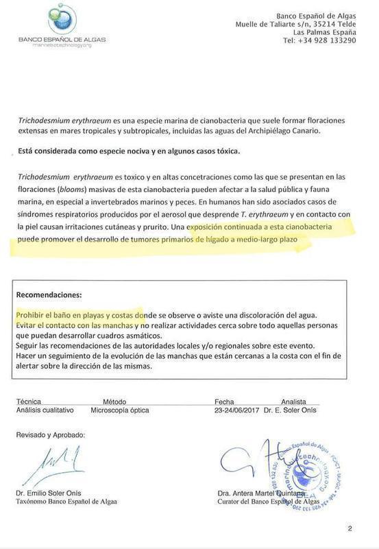 informe banco algas