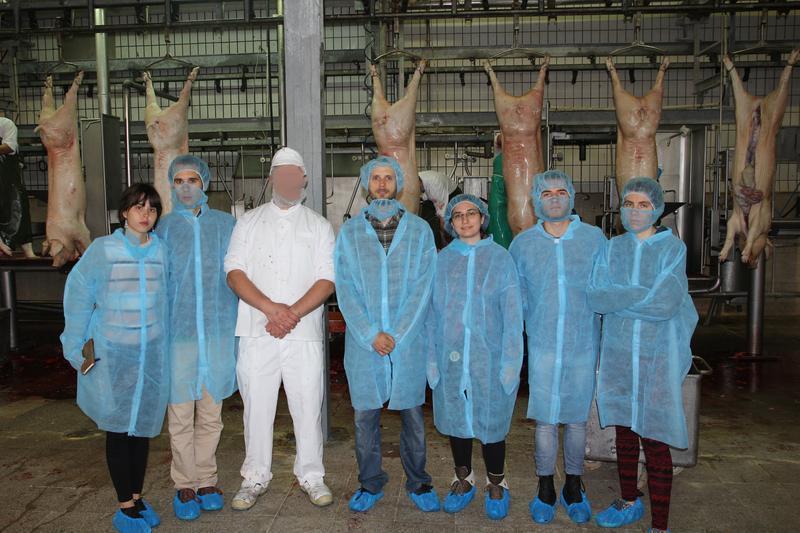 Foto artículo Lo que no te contaron en el colegio (animales (1)