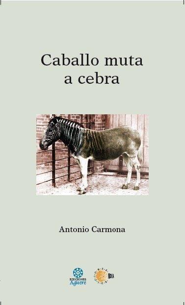 caballo muta a cebra