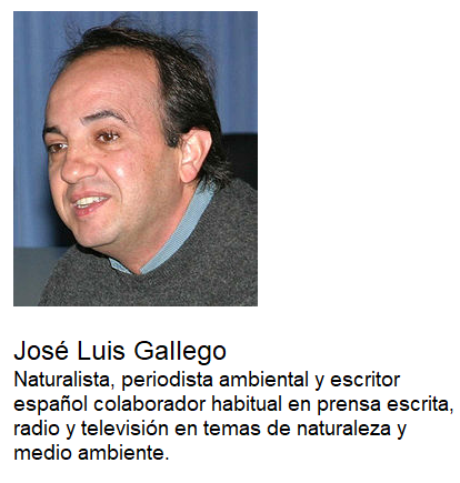 JOSÉ LUIS GALLEGO RESEÑA
