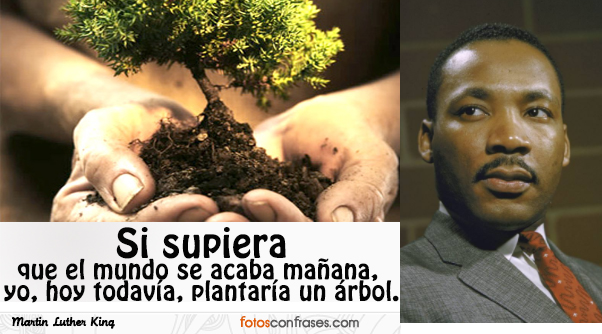 LUTHER KING FRASES