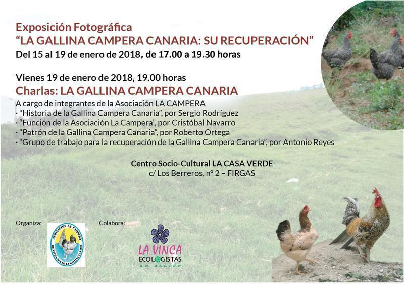 CARTELgallinacampera-HORARIO