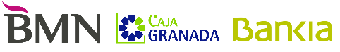 BNM CAJA GRANADA BANKIA