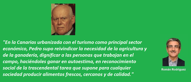 frase román