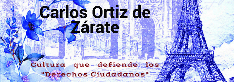 Carlos Ortiz de Zárate  blog