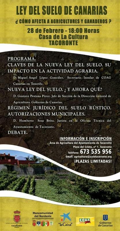 ley suelo tacoronte