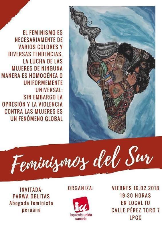 FEMINISMOS DEL SUR