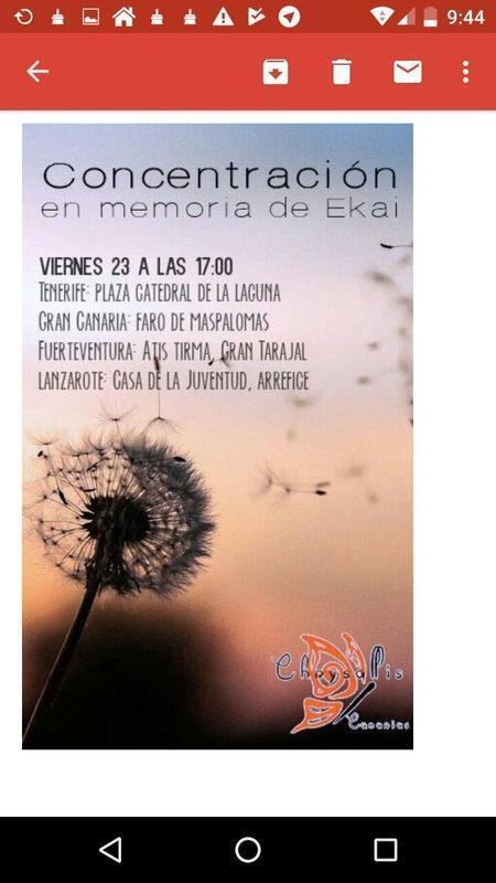 concentración ekai