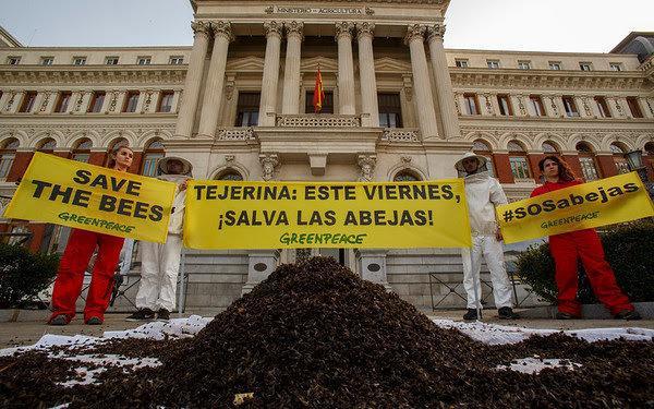 24/04/2018 Ministerio de Agricultura, Madrid, España  Activistas de Greenpeace han arrojado 20 kilos de abejas muertas envenenadas por el uso de insecticidas en España en la puerta del Ministerio de Agricultura y Pesca, Alimentación y Medio Ambiente. Con esta acción, la organización ecologista pretende llamar la atención de la ministra Tejerina para que vote a favor de las propuestas de la Comisión Europea de ampliar las restricciones a tres insecticidas neonicotinoides (clotianidina, imidacloprid y tiametoxam) en la votación que tendrá lugar en Bruselas el próximo viernes 27 de abril.     ©Greenpeace/Pablo Blázquez     ©Greenpeace Handout/Pablo Blázquez - No sales - No Archives - Editorial Use Only - Free use only for 14 days after release. Photo provided by GREENPEACE, distributed handout photo to be used only to illustrate news reporting or commentary on the facts or events depicted in this image.
