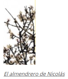 el almendrero de nicolás