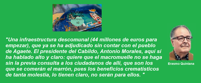 frase erasmo