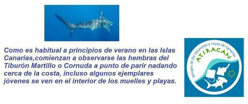FRASE ATIRACAN