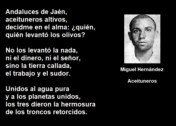 MIGUEL HERNÁNDEZ