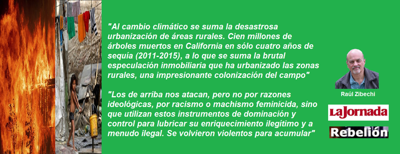 FRASE ZIBECHI