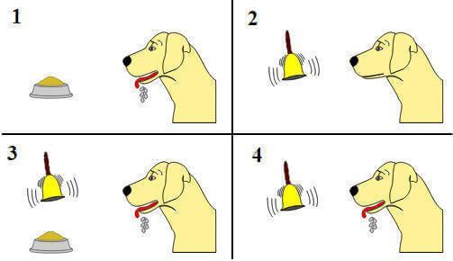 perro pavlov