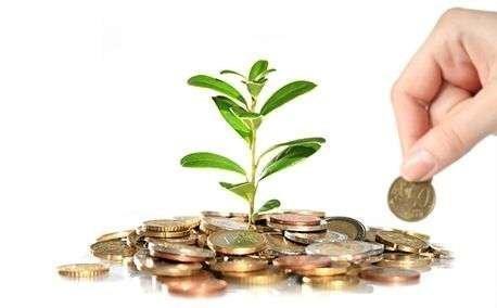 ECOLOGÍA ECONOMÍA DINERO