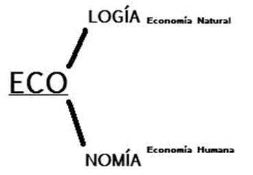 ECONOMÍA ECOLOGÍA
