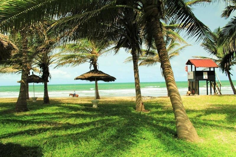 navidades tropicales