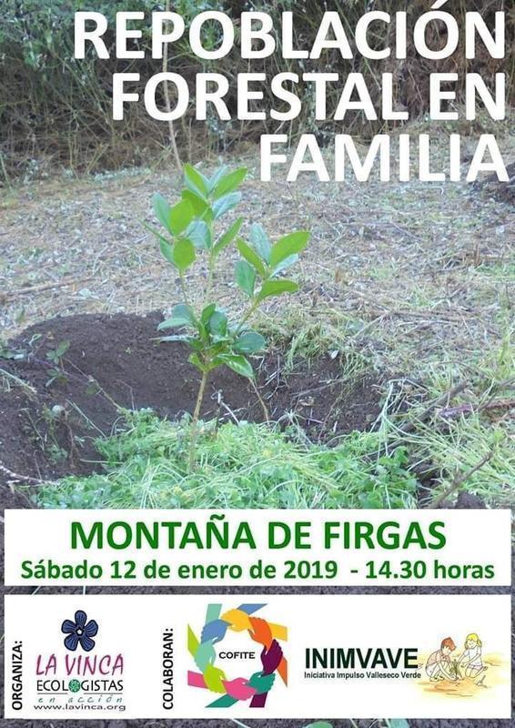 repoblación forestal