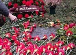 FLORES ROSA LUXEMBURGO