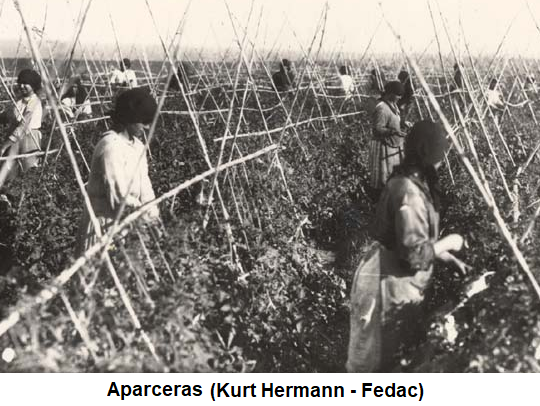 APARCERAS