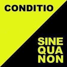 sine qua non