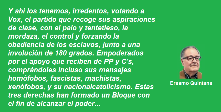 frase erasmo