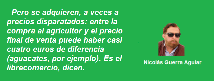 frase nico