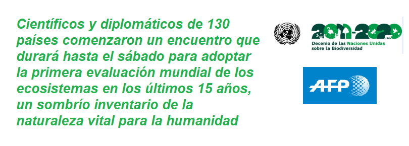 FRASE AFP