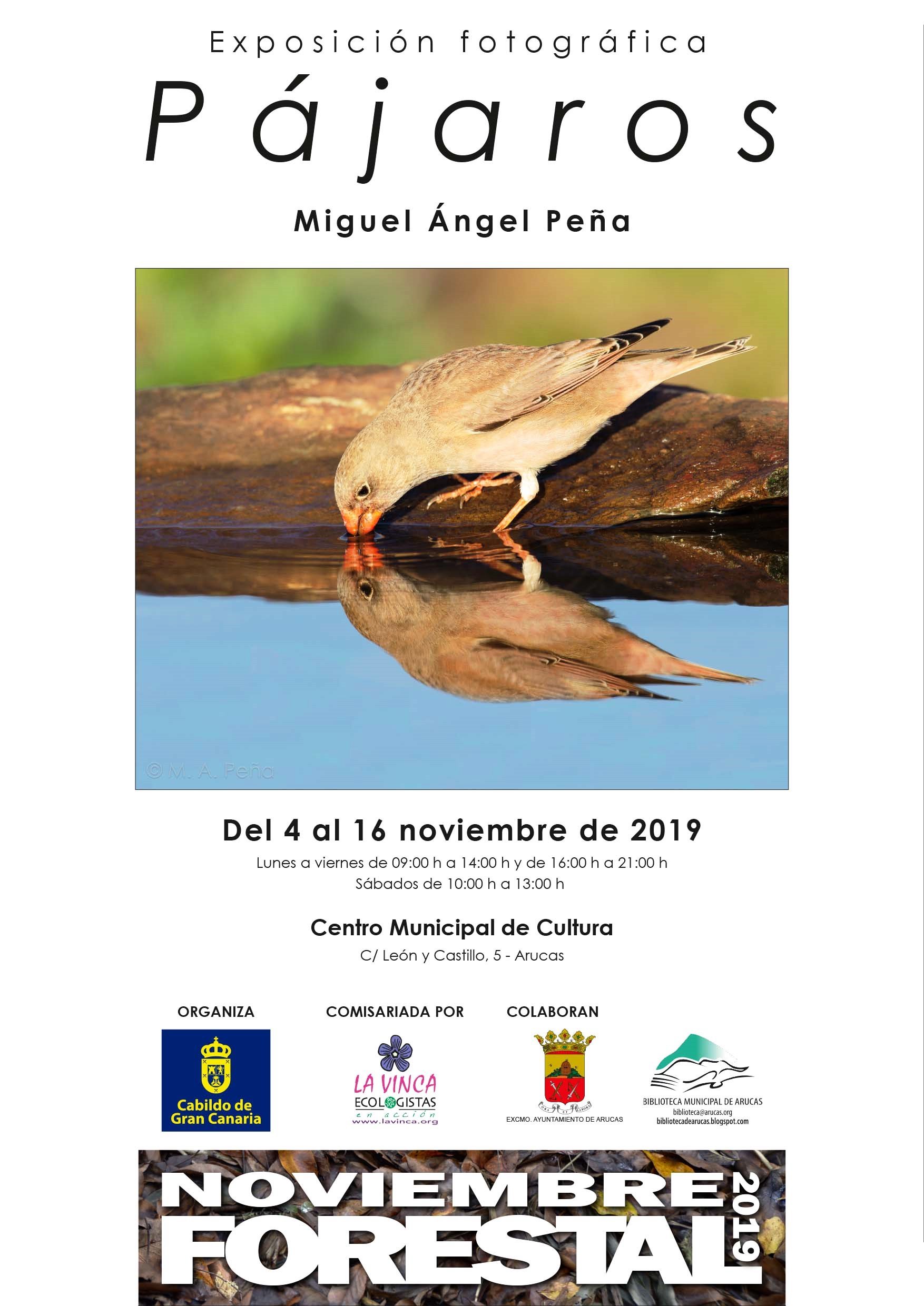 Pájaros-Miguel Angel Peña-Exposicion fotografica-Centro Municipal Cultura Arucas Noviembre Forrestal 2019 web (1)