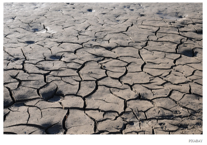 desierto