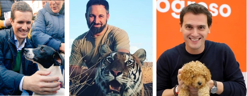 CASADO ABASCAL RIVERA
