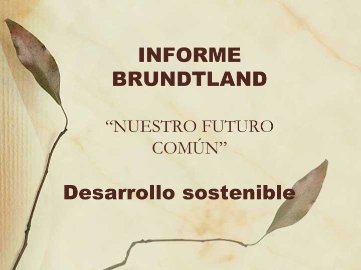INFORME BRUNDTLAND