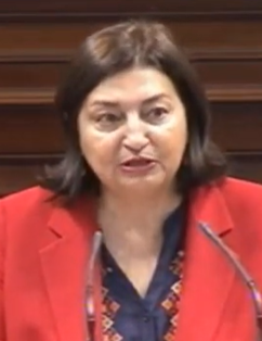maría josé guerra palmero