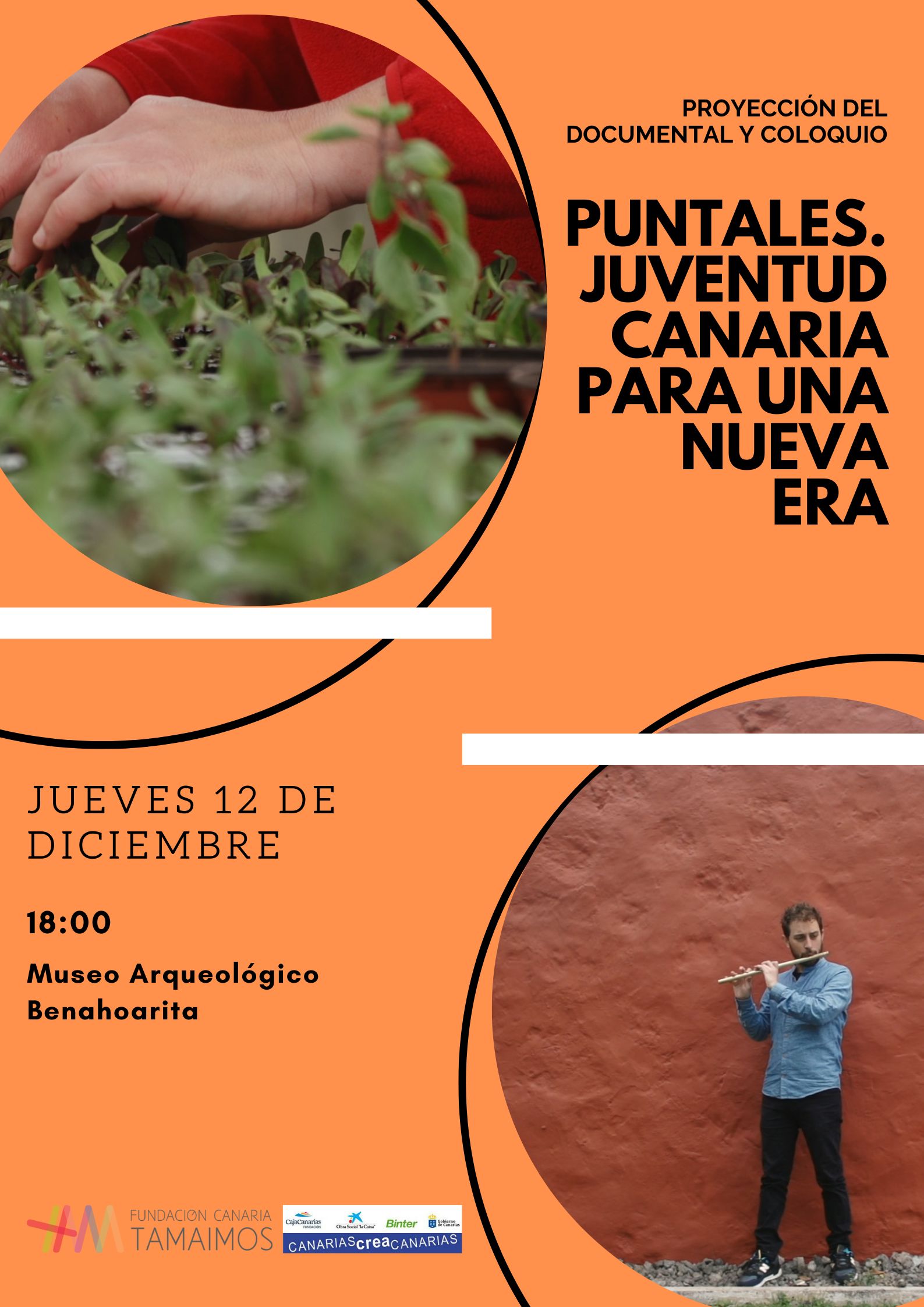 Cartel Puntales La Palma