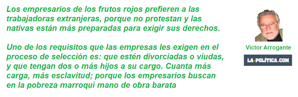 frase arrogante