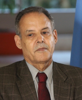 mhamed jadad