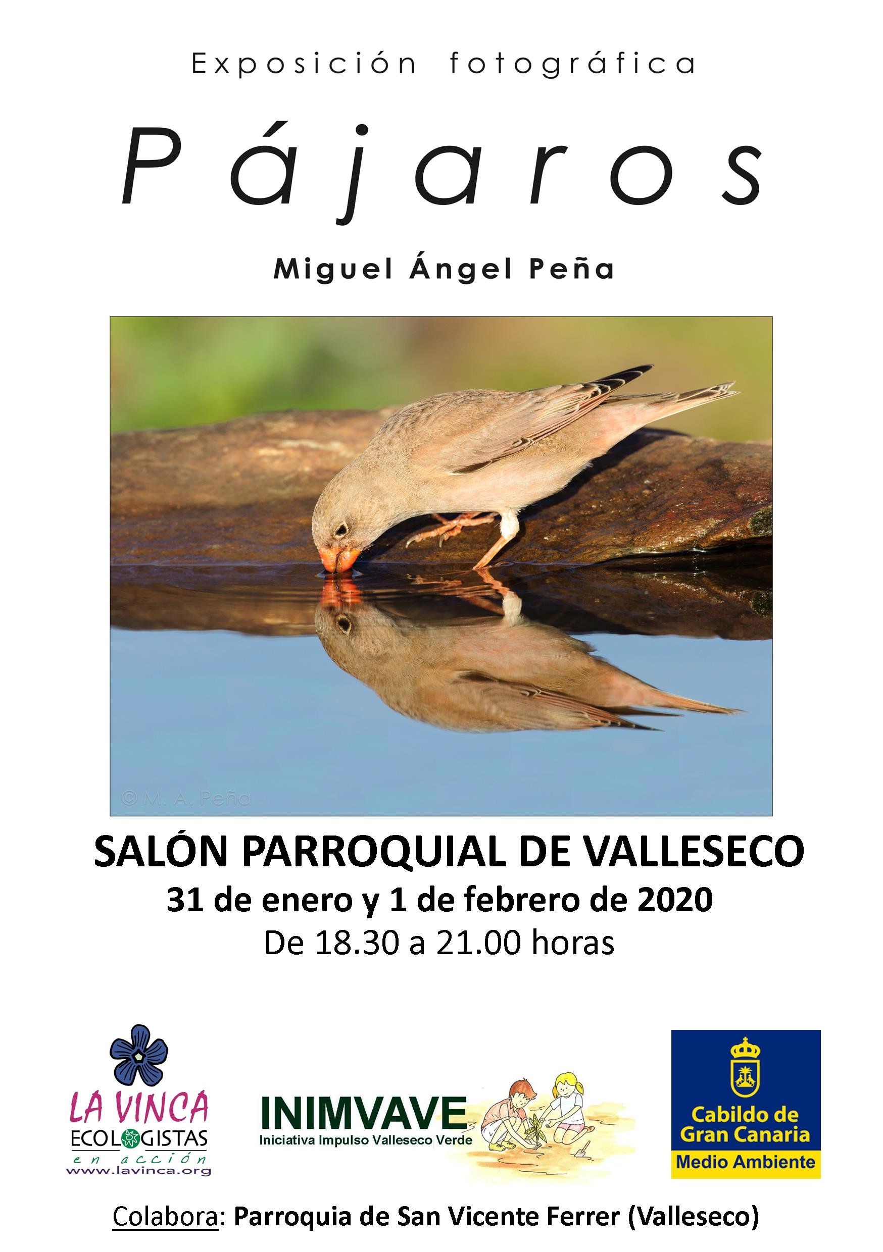 Exposición PAJAROS - Valleseco