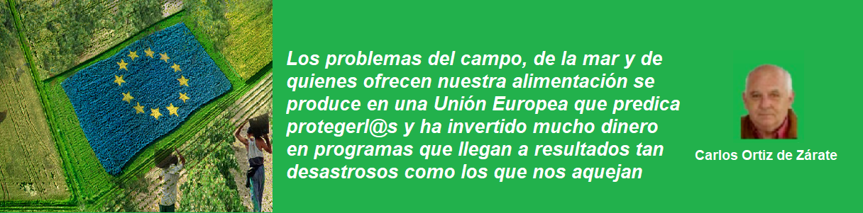 FRASE ORTIZ