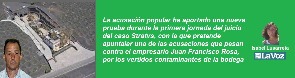 frase rosa stratus
