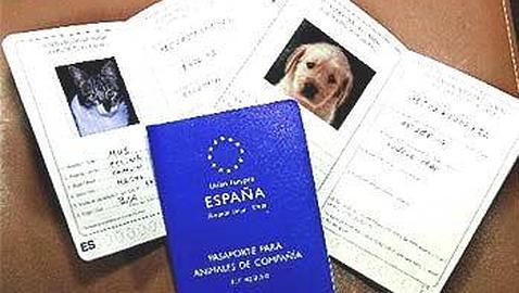 cartilla veterinaria