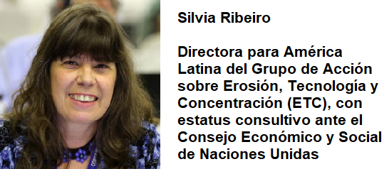 SILVIA RIBEIRO
