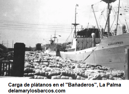 PLÁTANOS