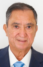 pedro anatael meneses