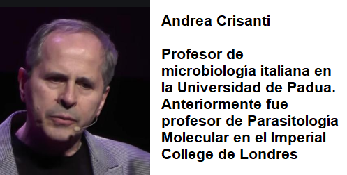 ANDREA CRISANTI