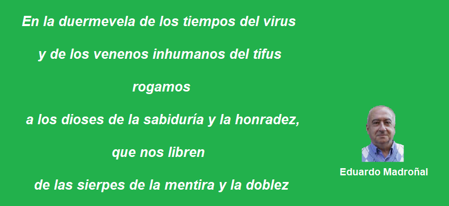 FRASE MADROÑAL