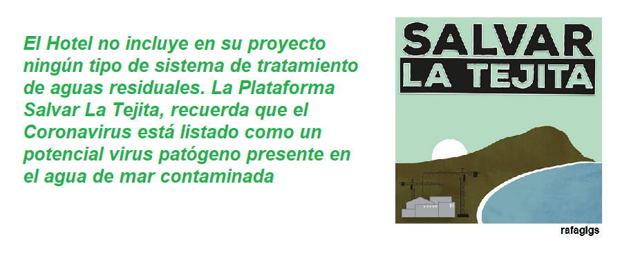 FRASE TEJITA